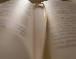 Enchanting Words: A Poem