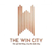 thewincitys profile image