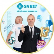 shbet800top profile image
