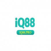 iq88pro profile image