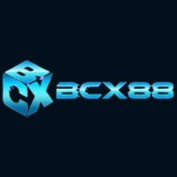 bcx88nl profile image