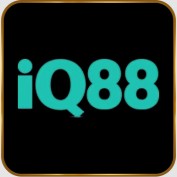 Iq88vn profile image