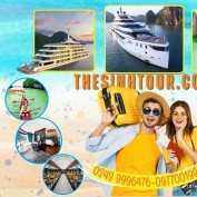 thesinhtour profile image