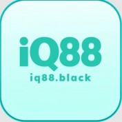 IQ88 profile image