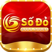 sodorodeo profile image