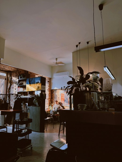 A room filled with lots of furniture and plants, photo by Andrii Solok 