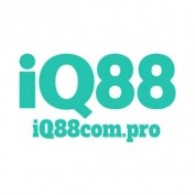 iq88compro profile image