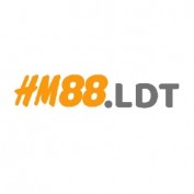 hm88ltd profile image