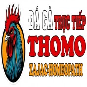 dagathomozajac profile image