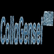 collagenseicom profile image