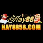 hay8856com profile image