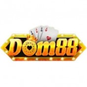 dom88miami profile image