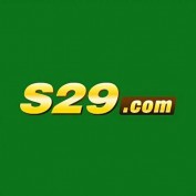s29gamecombr profile image