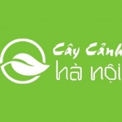 mtvcaycanhhanoi profile image