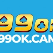 okcam1 profile image