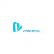 vf555work profile image