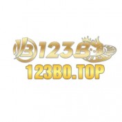 nc123b0top profile image