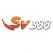 sv388jetzt profile image