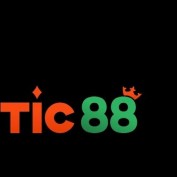 tic88de profile image