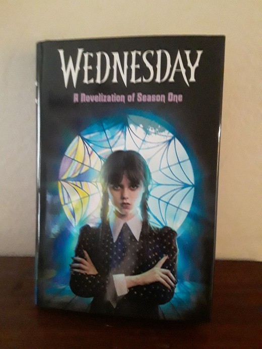 Novel of first season