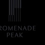 PromenadePeak profile image