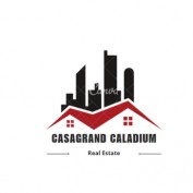 casagrandcaladium profile image