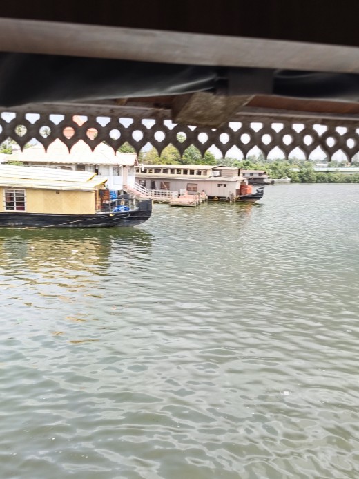 Other houseboats in the lake