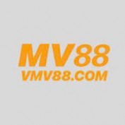 vmv88com profile image