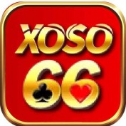 xoso66educom profile image