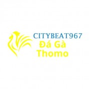 dagacity profile image