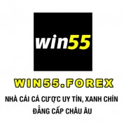win55forex1 profile image