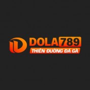 dola789vnfun profile image