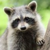 Sara Gilbert profile image