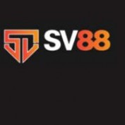 svairlines profile image