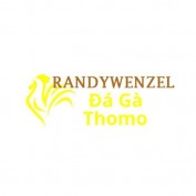 dagarandy profile image