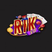 conggamerikvipteam profile image