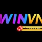 winvnsacom profile image