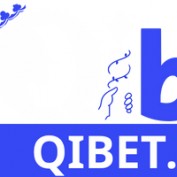 qibetdiy profile image