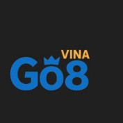 go8vinacom profile image