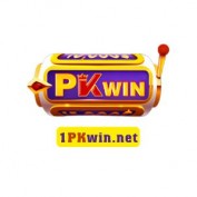 pkwinnet1 profile image