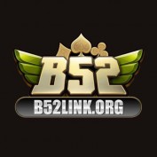 b52linkorg profile image