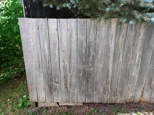 The result is a cleaner and lighter colored fence, but because I was too close, small groves were formed