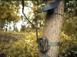 What You Will See Thanks To The EagleCam 5 Cellular Trail Camera