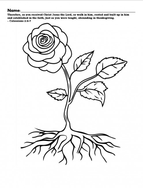 Craft sheet for roots and stems