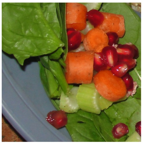 Plant Parts Salad