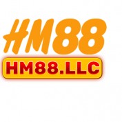 hm88llc profile image