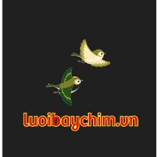 Luoibaychim Vn profile image