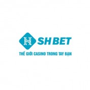 shbetrodeo profile image