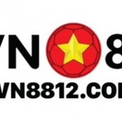 vncom8812 profile image