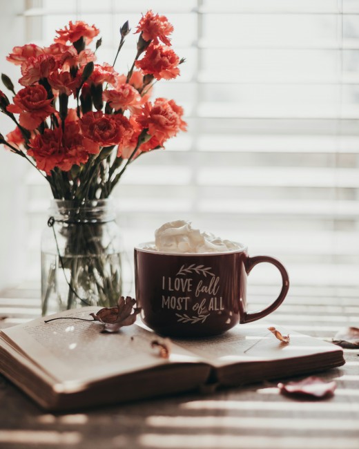 Fall reading, Photo by Sixteen Miles Out on Unsplash